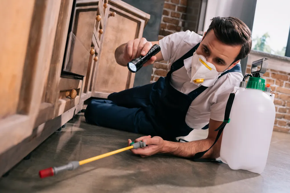 Clearing Up Misconceptions About Pest Control
<p>" /></figure></p>
</div>
</div>
<div aria-hidden=