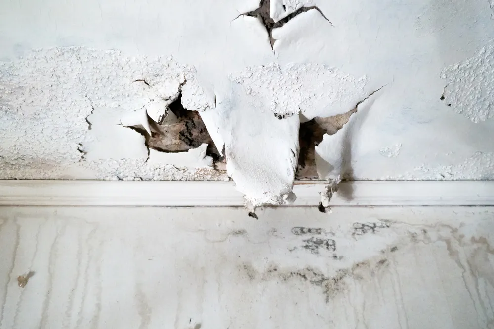 Common Unseen House Defects