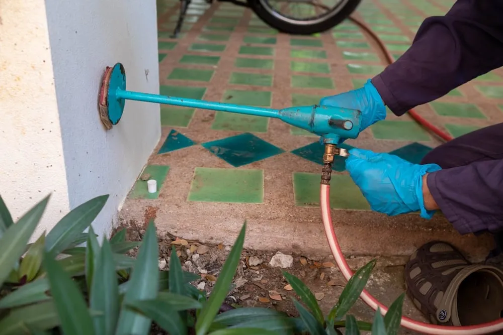 Dealing with a Termite Outbreak

<p>" /></figure></p>
</div>
</div>

<div aria-hidden=