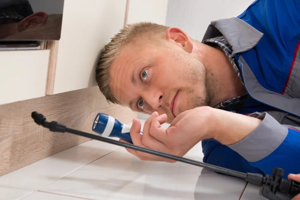 Debunking Pest Control Myths
<p>" /></figure></p>
</div>
<div>
<p>Regular inspections are the cornerstone of effective pest control, functioning as a proactive measure to detect early signs of pest activity. These routine checks allow for the identification of potential problems when they are still manageable and less expensive to address. </p>
<p>Without them, minor issues can easily escalate into major infestations that invade deep into the foundations of a property, resulting in extensive and potentially costly damage. In addition to the economic burden, large-scale pest problems can become a health hazard, complicating the resolution process further. </p>
<p>Therefore, committing to regular pest inspections is a prudent strategy for property maintenance, ensuring small concerns are resolved promptly and do not balloon into greater ordeals.</p>
</div>
</div>
<div aria-hidden=