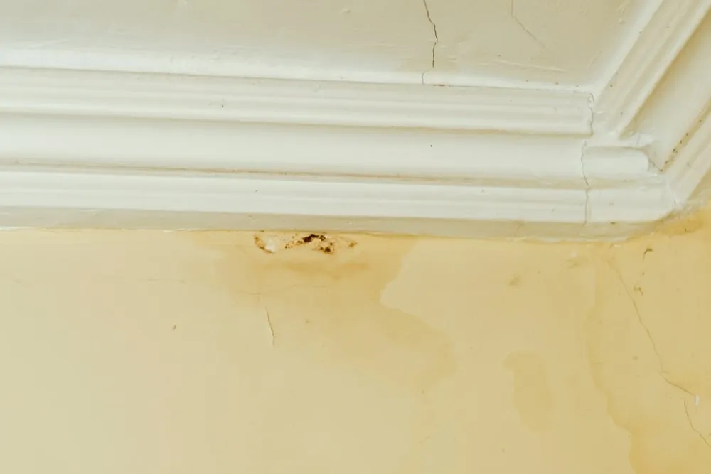 Dilapidation Inspections and Their Importance for Property Health