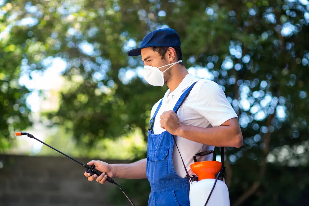 Effective Pest Control Measures:
<p>side, view, of, worker, using, crop, sprayer, in, back, yard" /></figure></p>
</div>
</div>
<div aria-hidden=