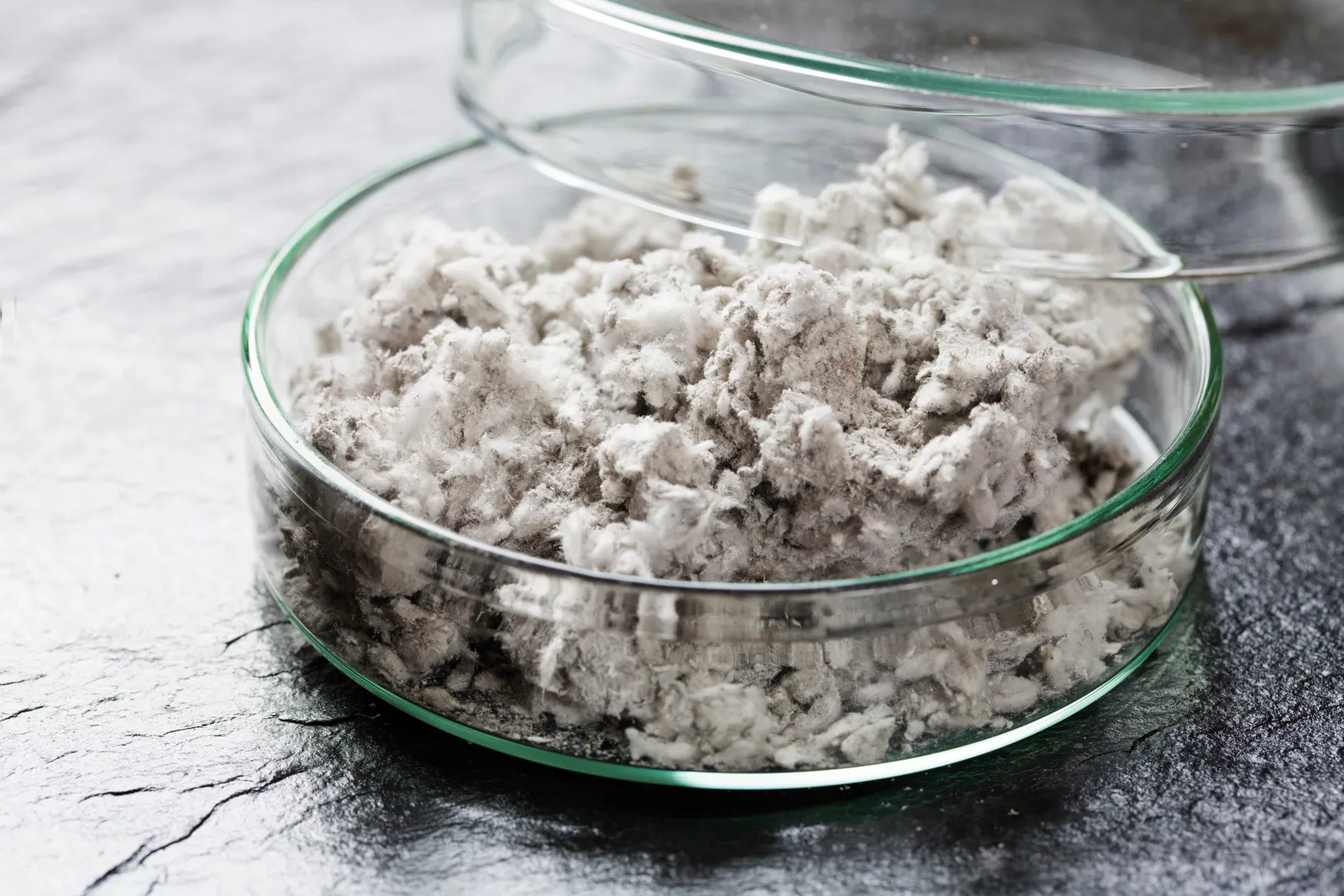 Essential Aspects of Asbestos Inspections