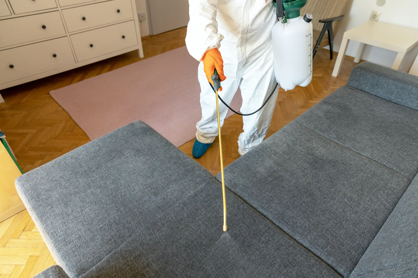 Frequency of Pest Inspections