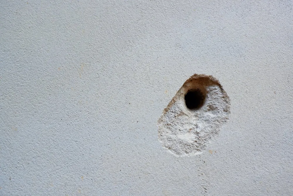 How to Proactively Prevent Rodents from Entering Your Building:

<p>cracks, holes, on, the, cement, wall, caused, by, drilling, to  " /></figure></p>
</div>

<div>
<p>Proactive measures are key to thwarting rodent invasions in any building. Sealing up cracks and plugging holes not only fortifies the structure but also cuts off common entry points, denying access to these agile intruders. </p>

<p>Impeccable sanitation, coupled with secure food storage practices, removes the sources that often lure rodents indoors. Relocating firewood stacks away from the building, alongside keeping waste bins firmly shut and managing overgrown greenery, eliminates the cozy shelters that might otherwise harbor these pests. </p>

<p>Additionally, remedying damp areas without delay deprives rodents of the moist environments they find attractive. Collectively, these actions form a strategic defense that can significantly diminish the likelihood of facing a rodent infestation within your premises.</p>
</div>
</div>

<div aria-hidden=