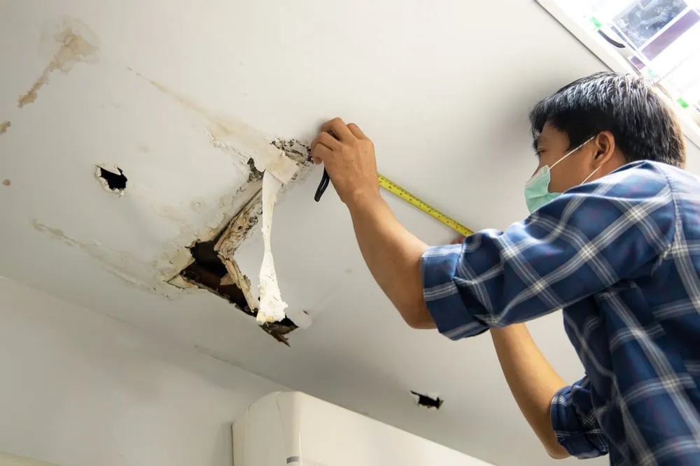 Importance of Building Inspections
