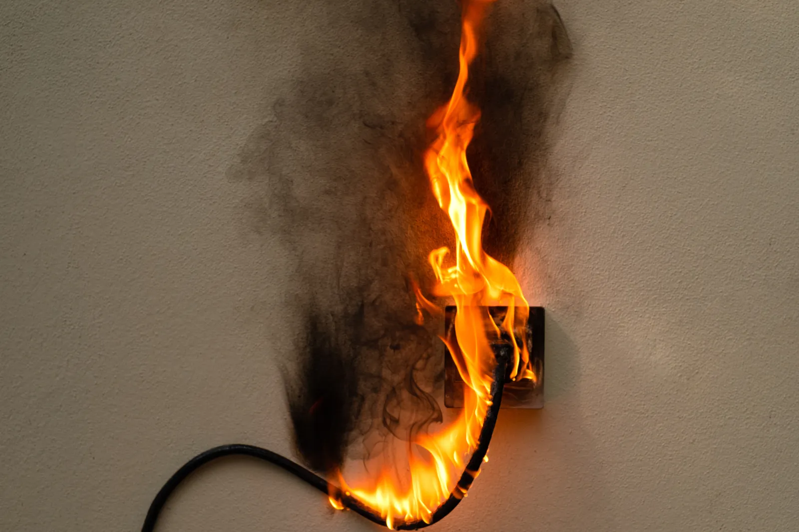 Importance of Defects Reports and Inspections