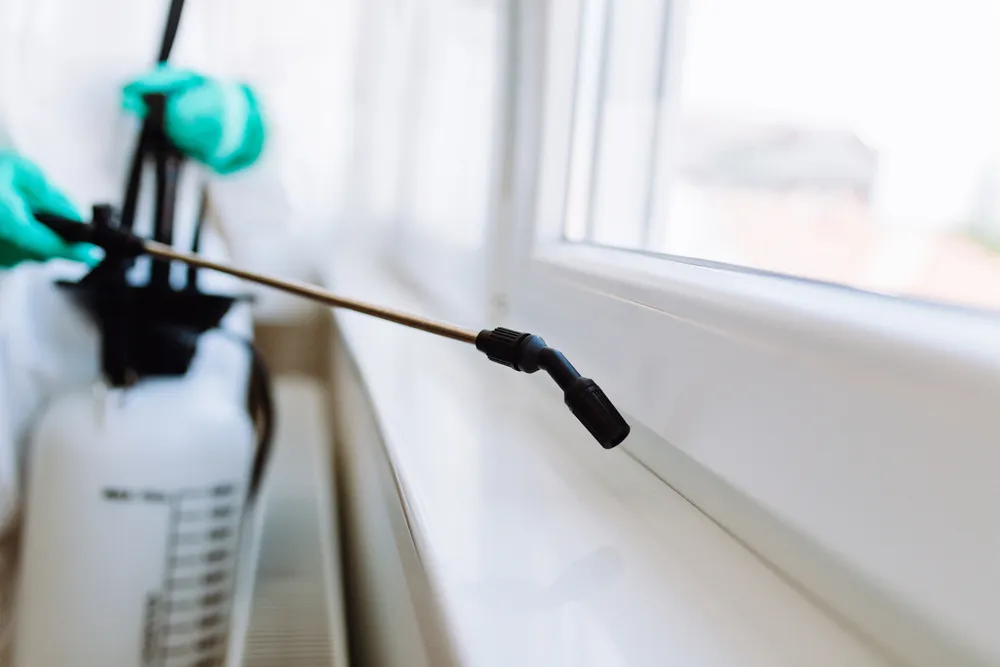 Importance of Pest Control