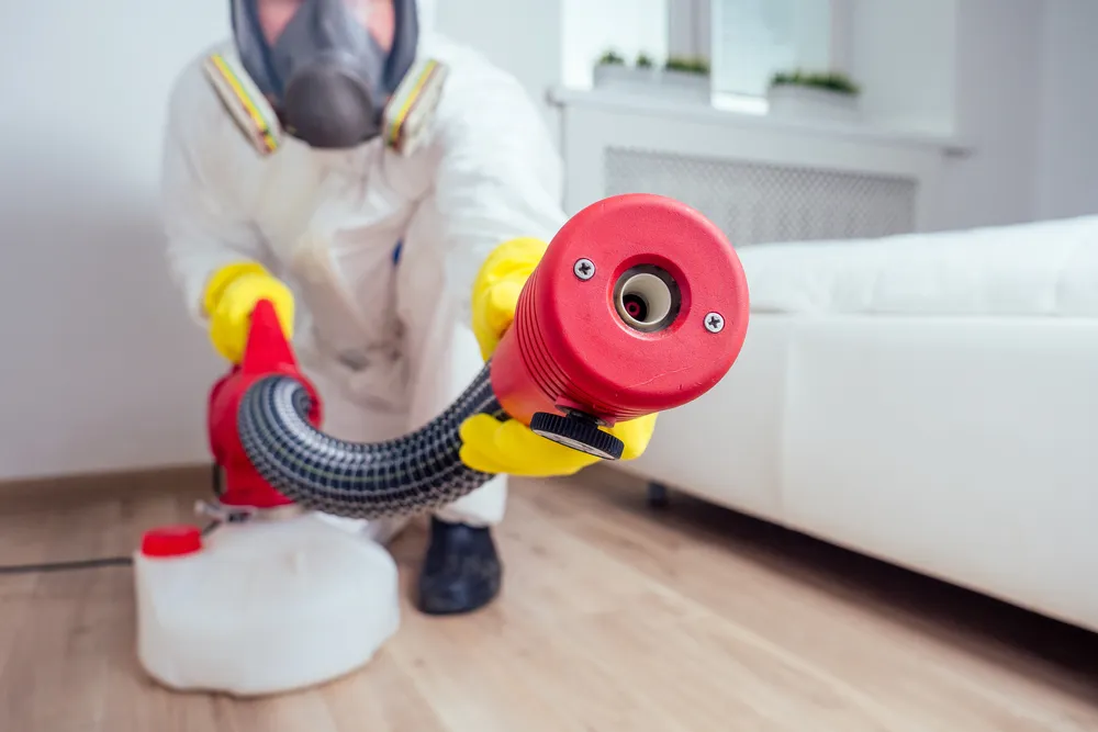Importance of Professional Pest Control