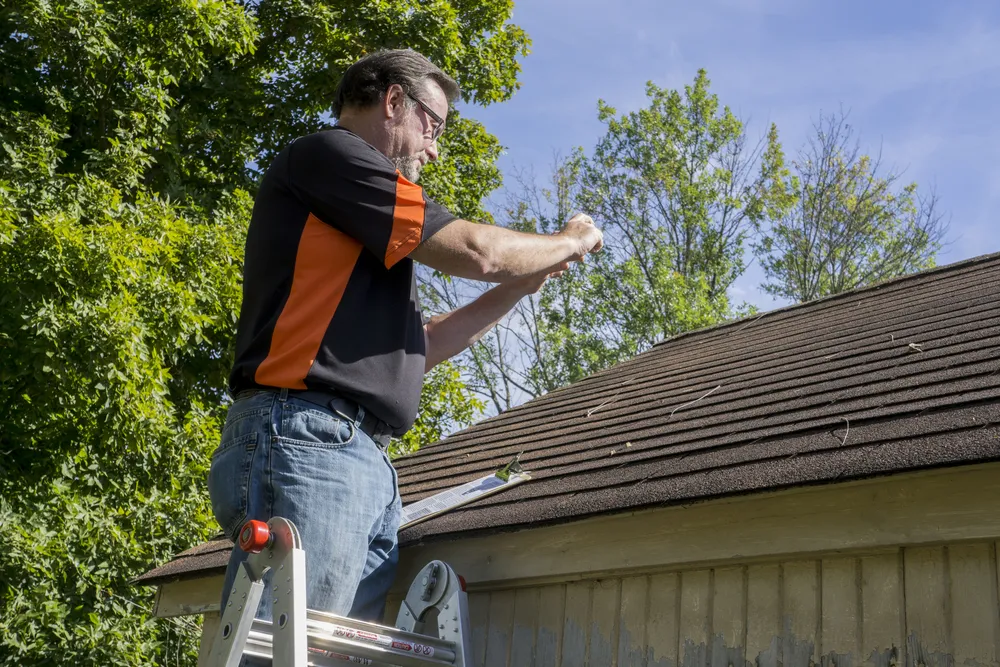 Importance of Regular Inspections and Reports