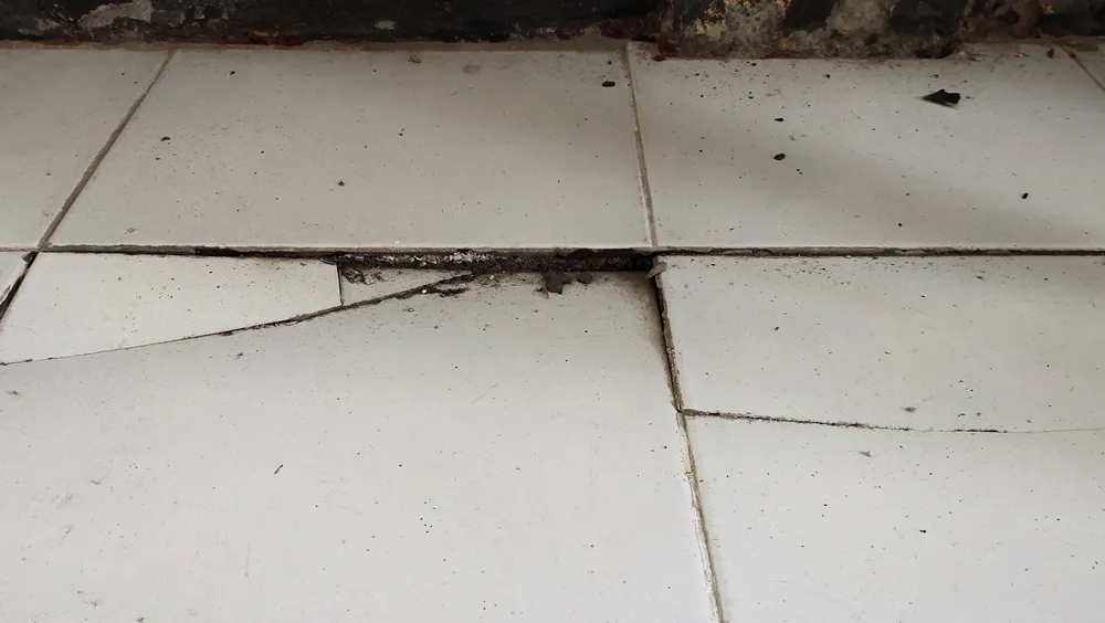 Key Areas to Check in a Building Defects Inspection
