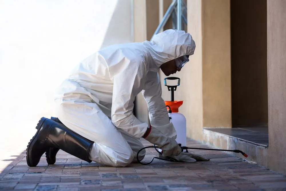 Steps for Effective Spider Control in Your Building

<p>" /></figure></p>
</div>

<div>
<p>Gaining the upper hand against spider infestations within your building requires a strategic and multi-faceted approach. Start with regular cleaning schedules to remove webs and discourage spiders from settling. </p>

<p>Make sure to seal any cracks and seams in the building’s structure to prevent these arachnids from slipping inside. Utilising proper lighting can deter spiders, who prefer darker spaces, from congregating around the premises. </p>

<p>Keep plants and foliage well-trimmed to minimise natural spider habitats near the building. Finally, for persistent issues, enlist the expertise of professional pest control services to implement a comprehensive treatment plan that ensures your space remains spider-free.</p>
</div>
</div>

<div aria-hidden=