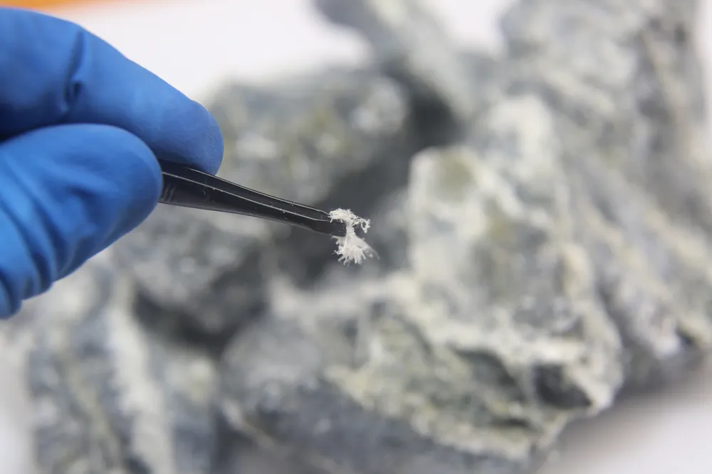 Steps to Take if Asbestos is Found
