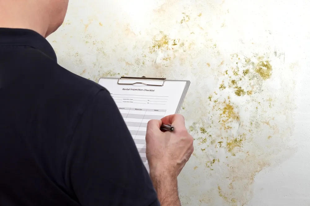 Expert Witness Reports in Building Defect Cases: Unraveling the Process: The basics of expert witness reports