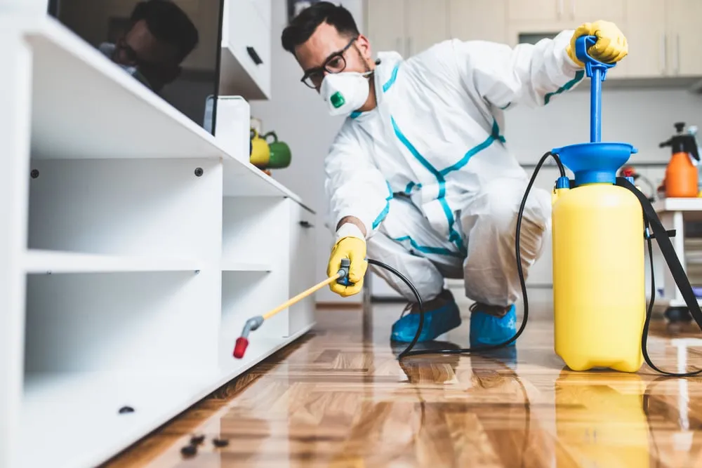 The Benefits of Professional Pest Inspections
