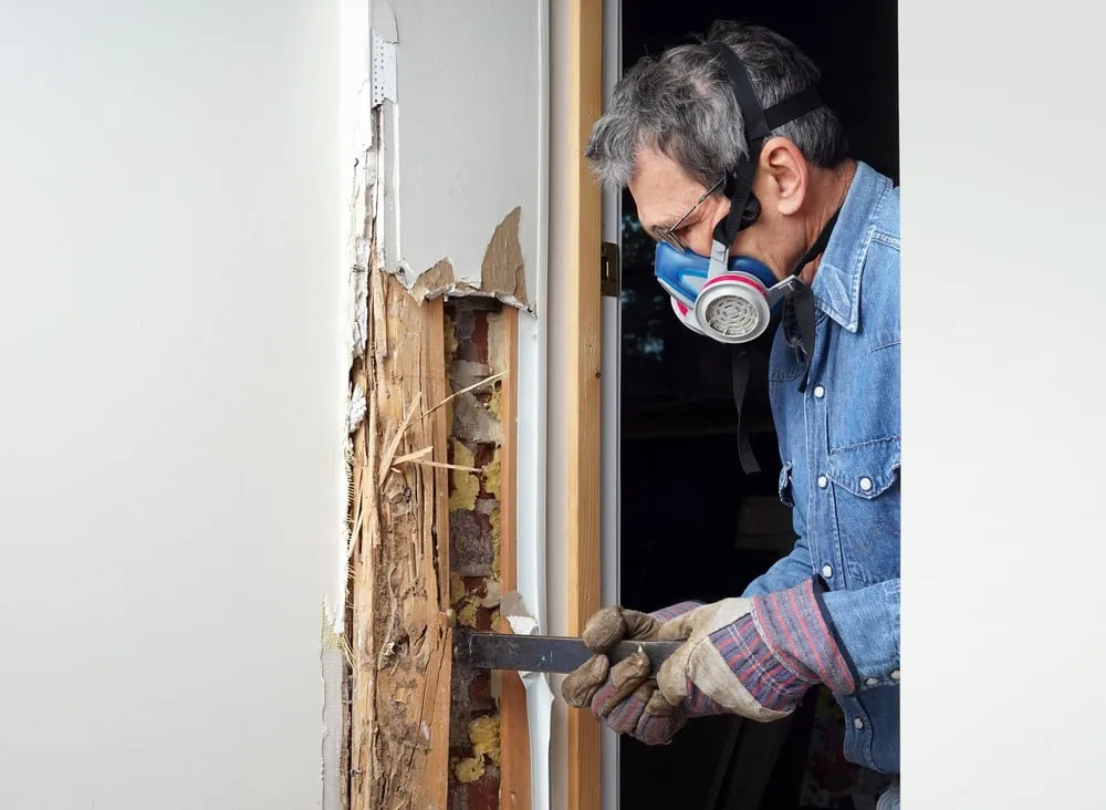 The Comprehensive Approach of Modern Pest Inspections
<p>" /></figure></p>
</div>
</div>
<p>Regular maintenance plans further solidify the defence, offering ongoing protection to preserve the health and safety of residents and safeguard the long-term value of strata properties. In diving deeper into the pages ahead, we’ll explore the indispensable role of pest inspections and the peace of mind they bring to property stakeholders.</p>
<div aria-hidden=