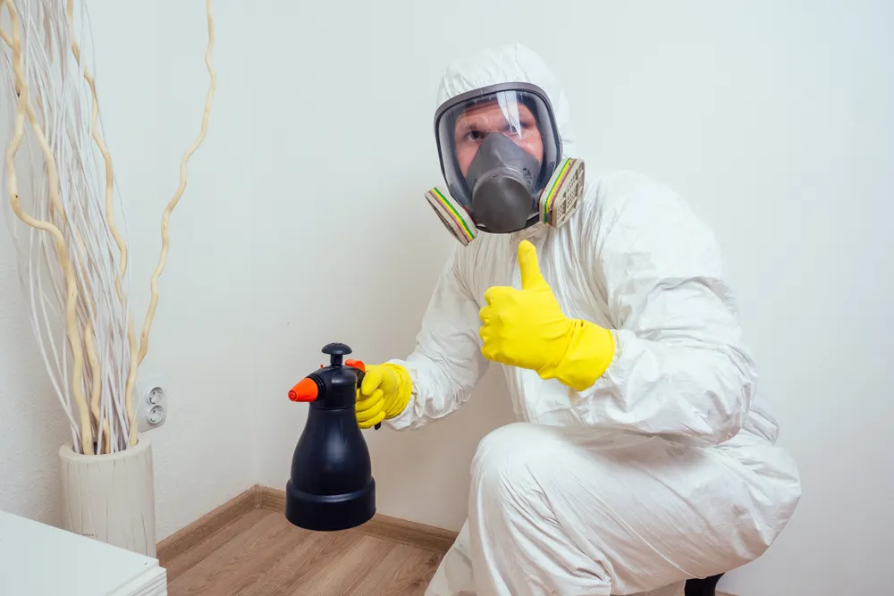 The Hidden Dangers of Cockroach Infestations