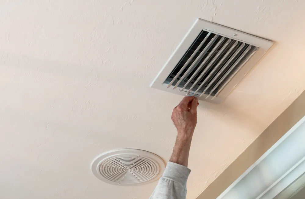 The Importance of a Professional Rodent Inspection

<p>handyman, adjusting, hvac, ceiling, air, vent., air, flow, adjustment, for " /></figure></p>
</div>
</div>

<div aria-hidden=