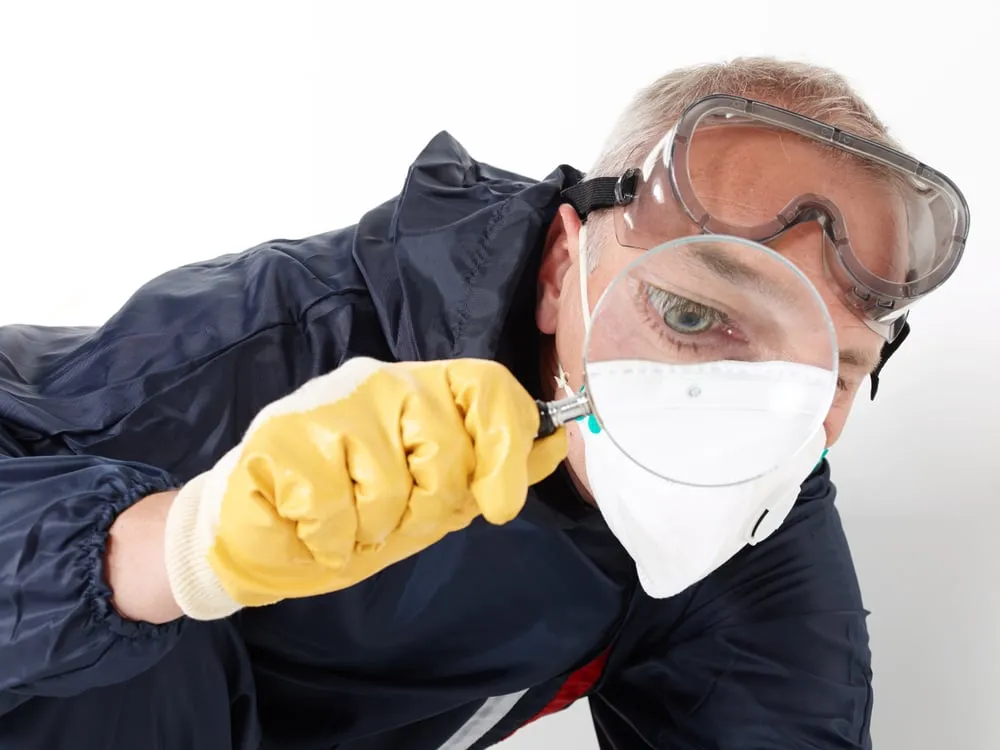 The Importance of Pest Inspections in New Home Buying

<p>" /></figure></p>
</div>
</div>

<div aria-hidden=