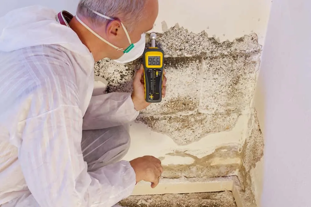 The Importance of Proper Preparation for a Mould Inspection