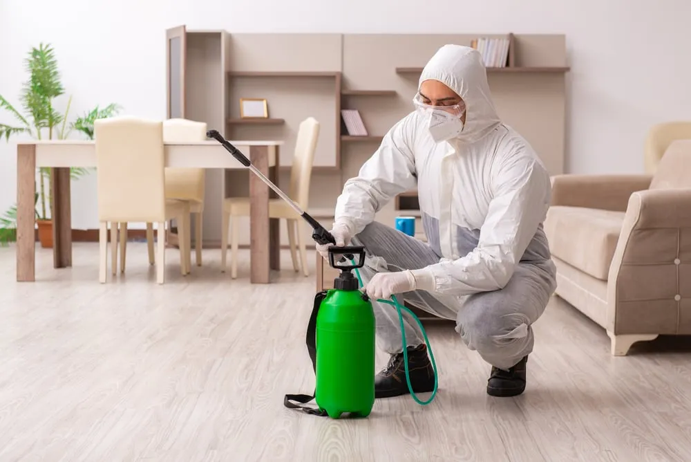The Importance of Regular Pest Inspections in Commercial Buildings