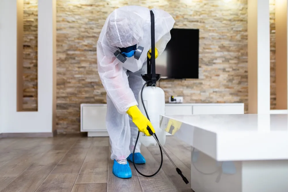 The Process of a Comprehensive Pest Inspection

<p>" /></figure></p>
</div>
</div>

<p>Most importantly, we’ll clarify the legal requirements that come with property ownership and pest management to help you stay compliant with regulations. Don’t overlook the significance of this knowledge, read more now to ensure your investment is safeguarded and your living space remains a haven of health and safety.</p>

<div aria-hidden=