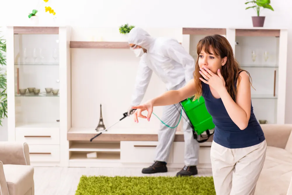 The Risks of Ignoring Pest Inspections