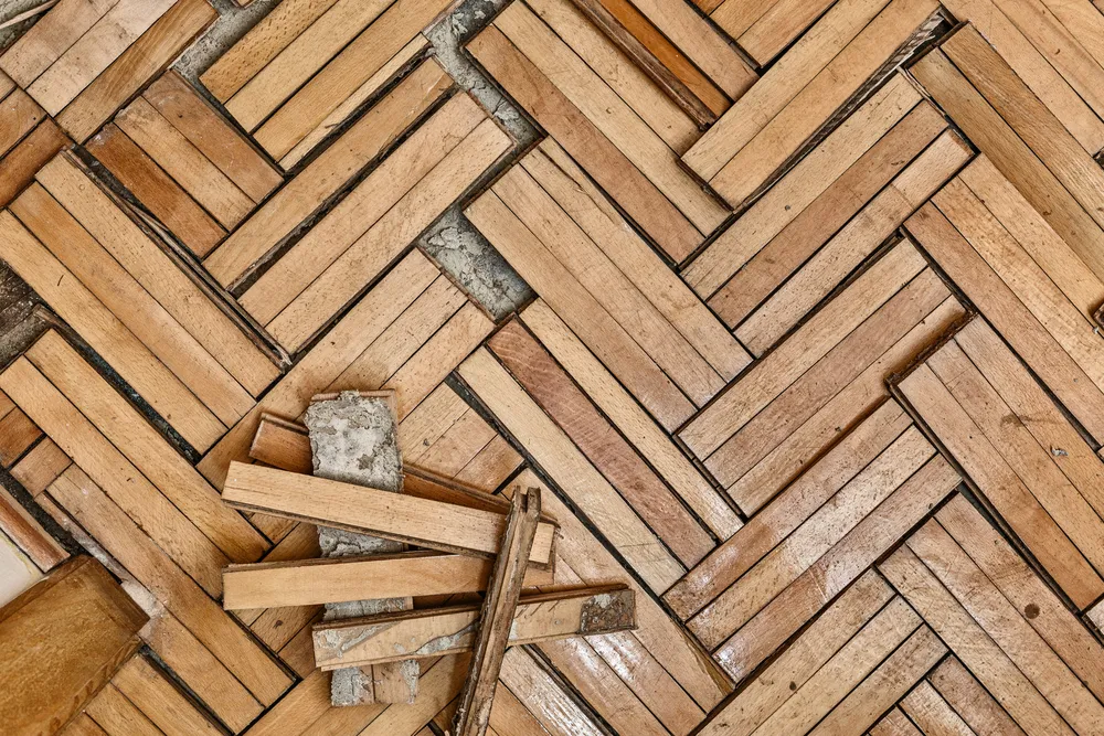 Timber Floor Inspection Process