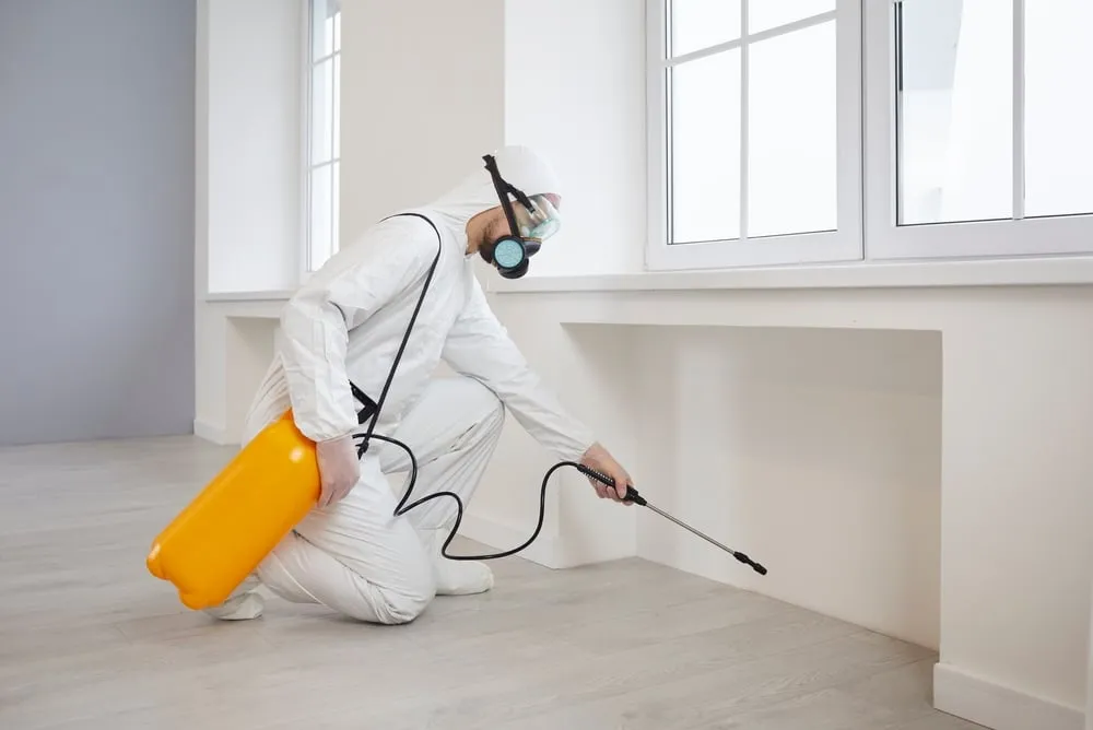 Understanding Pest Inspections and Pest Control

<p>" /></figure></p>
</div>
</div>

<p>These methods can vary widely, from chemical treatments and baiting systems to physical barriers and eco-friendly solutions, each selected based on the specific pest, the severity of the issue, and the environmental context. Together, inspection and control form an integrative approach to managing pest risks, ensuring both immediate remediation and long-term prevention are addressed.</p>

<div aria-hidden=