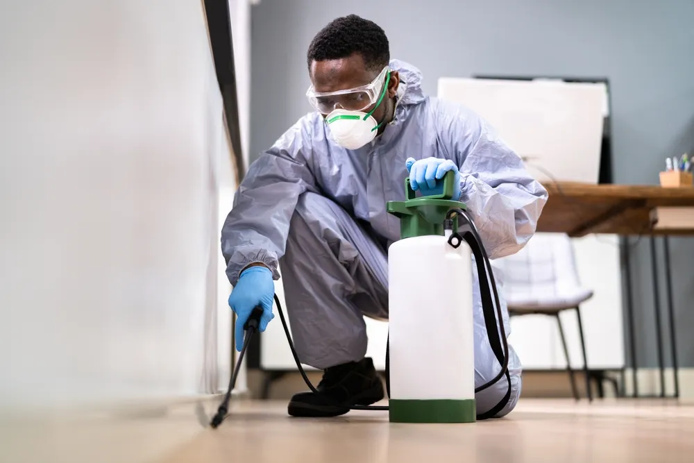 Understanding the Importance of Pest Inspections