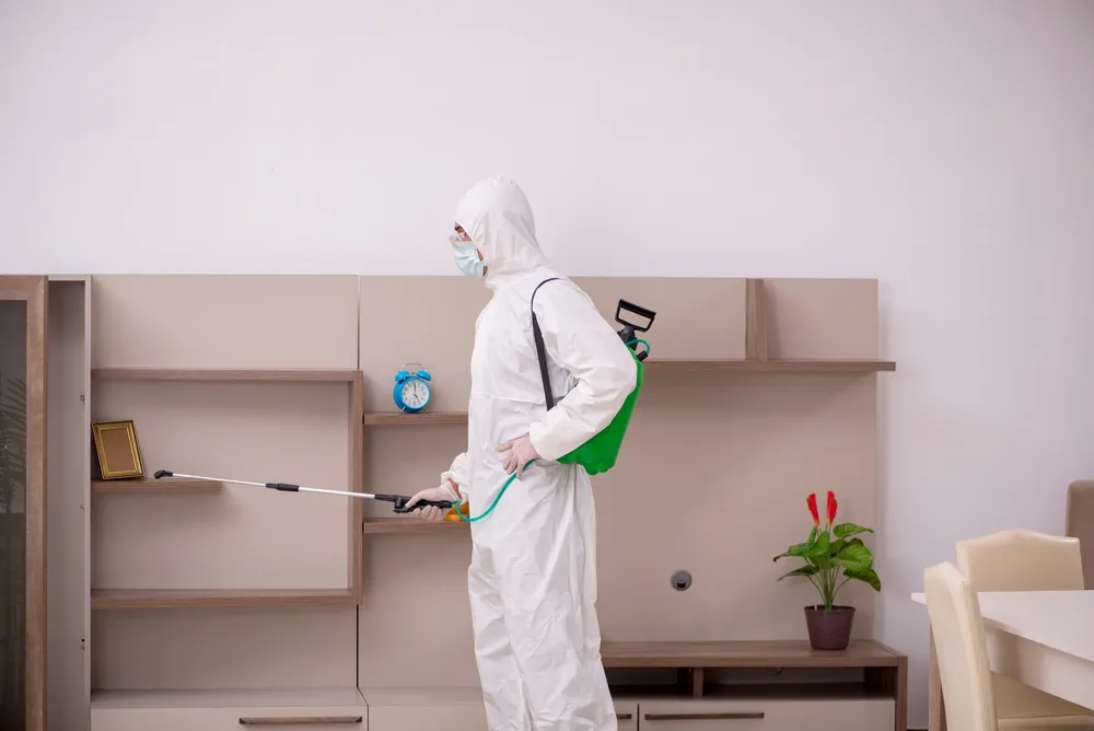 What to Expect During a Pest and Building Inspection
<p>" /></figure></p>
</div>
</div>
<div aria-hidden=