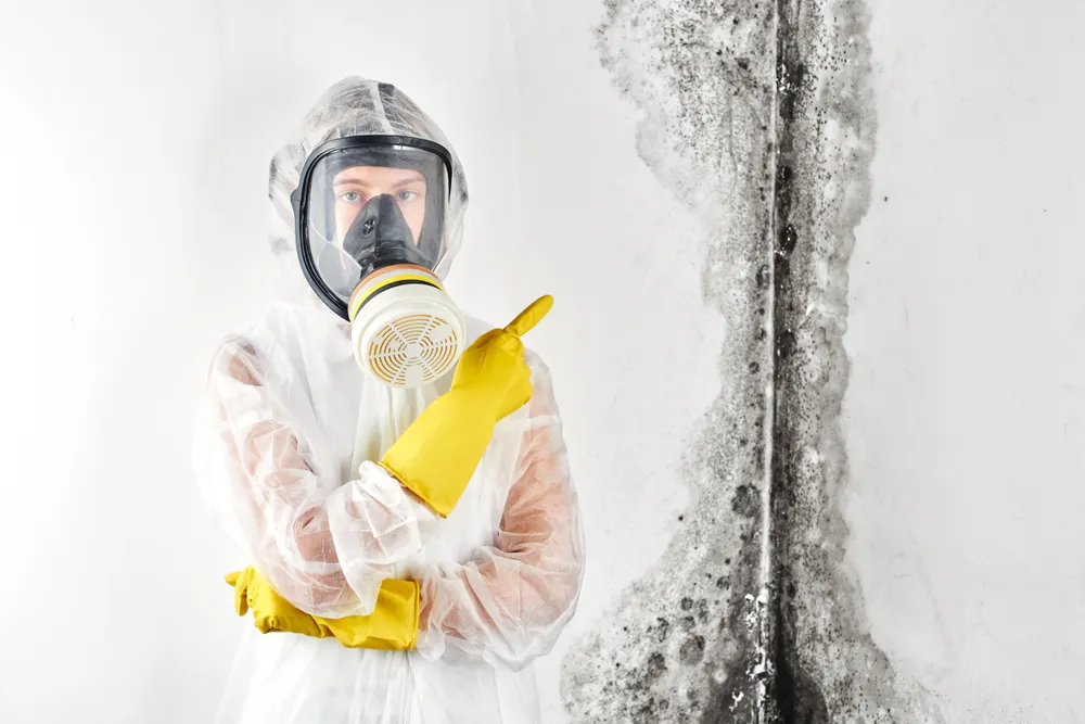 What to Expect During a Professional Mould Inspection