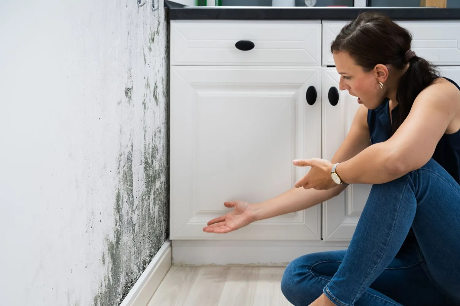 Worry No More with Our Mould Inspection