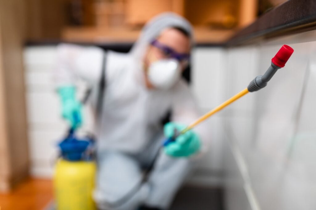 Why Choose Our Expert Building Inspectors